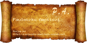 Pauleszku Ametiszt névjegykártya